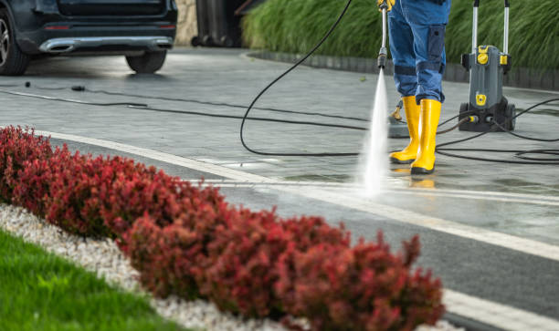 Best Roof Pressure Washing  in Newellton, LA